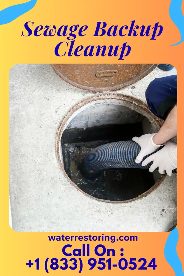 Sewage Backup Cleanup in Downingtown, PA