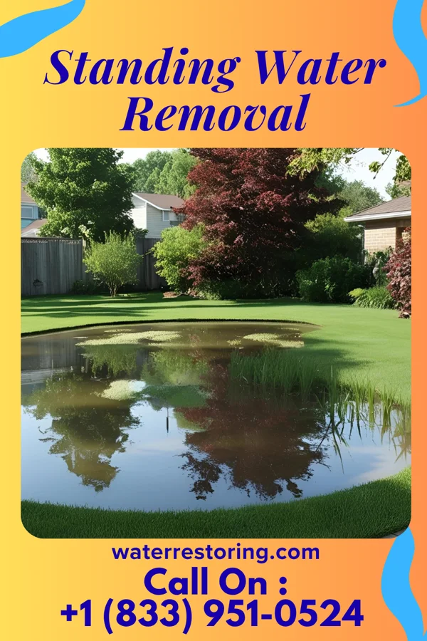 Standing Water Removal in Downingtown, PA